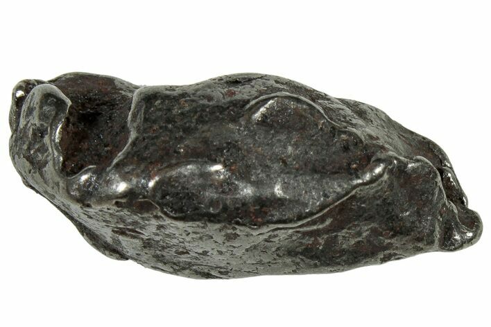 Gebel Kamil Iron Meteorite ( g) - Egypt #302691